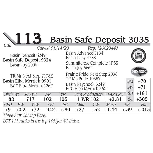 Basin Safe Deposit 3035