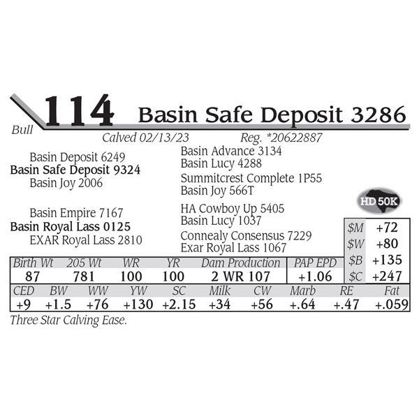 Basin Safe Deposit 3286