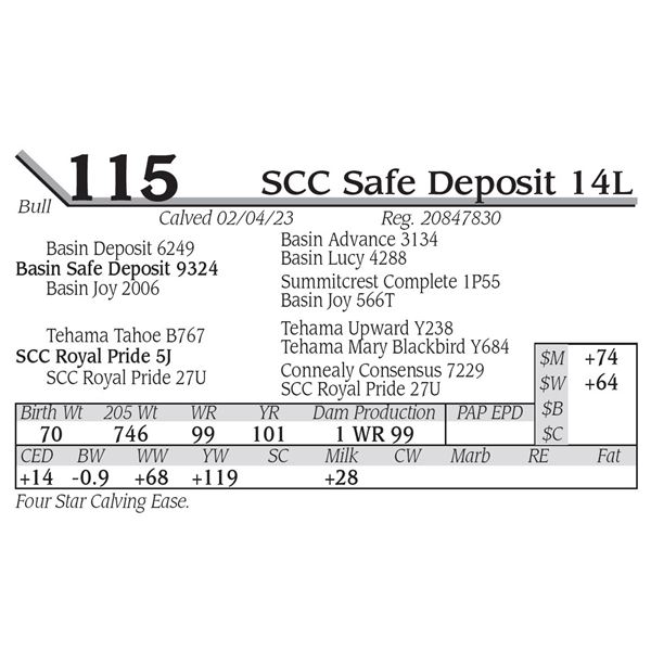 SCC Safe Deposit 14L