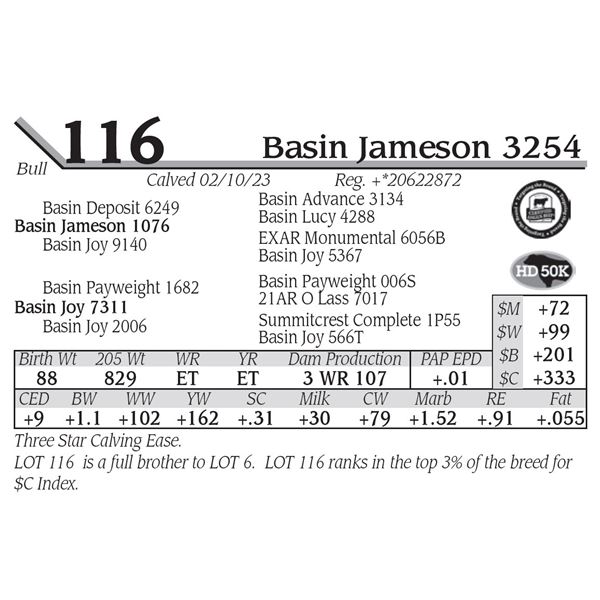 Basin Jameson 3254
