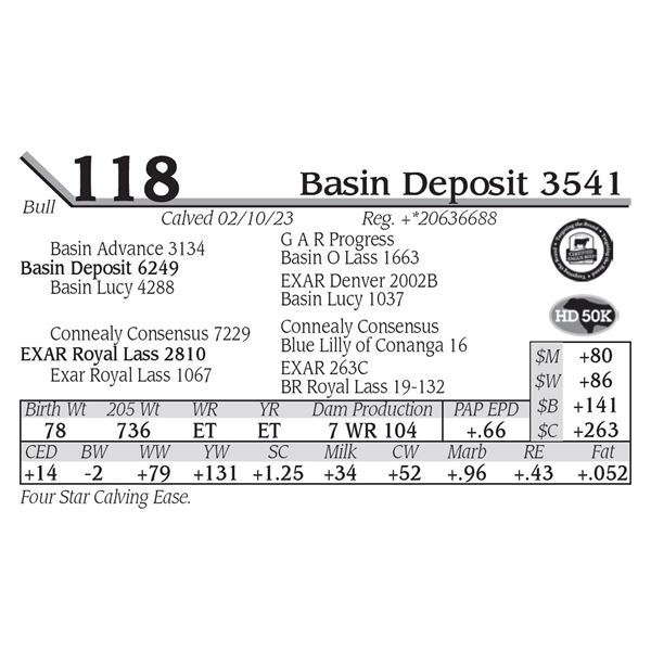 Basin Deposit 3541