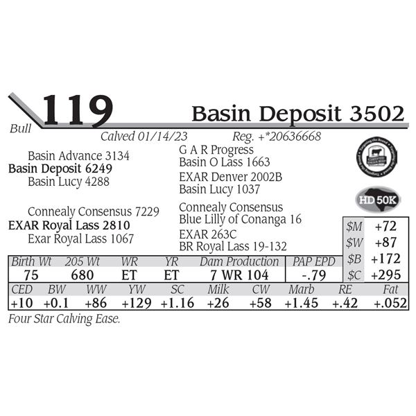 Basin Deposit 3502