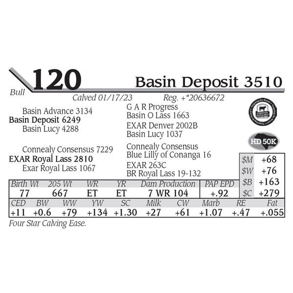 Basin Deposit 3510