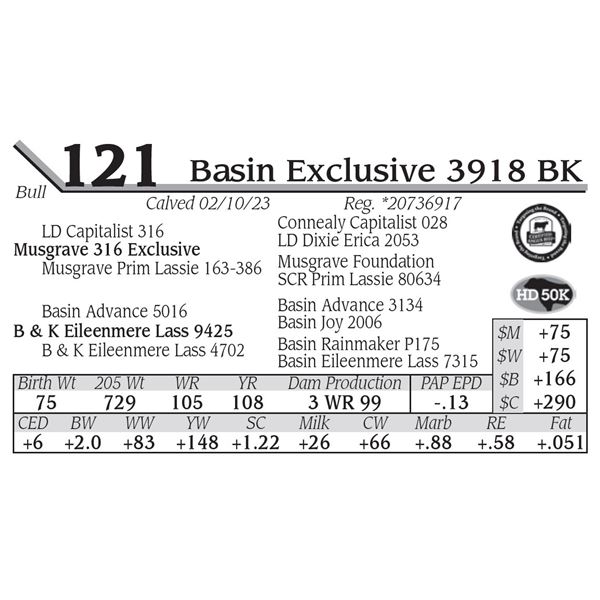 Basin Exclusive 3918 BK