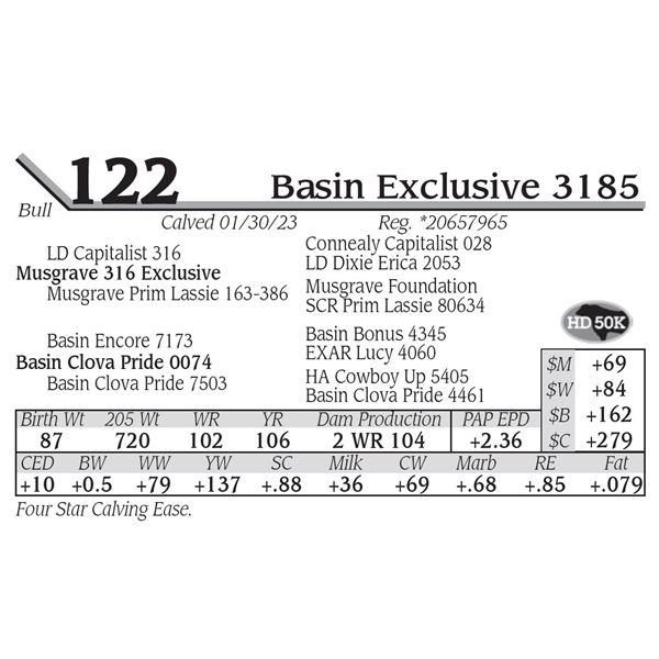 Basin Exclusive 3185