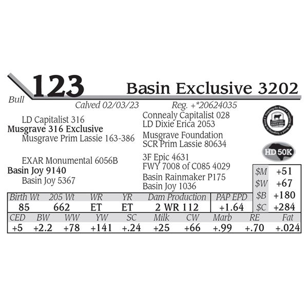 Basin Exclusive 3202