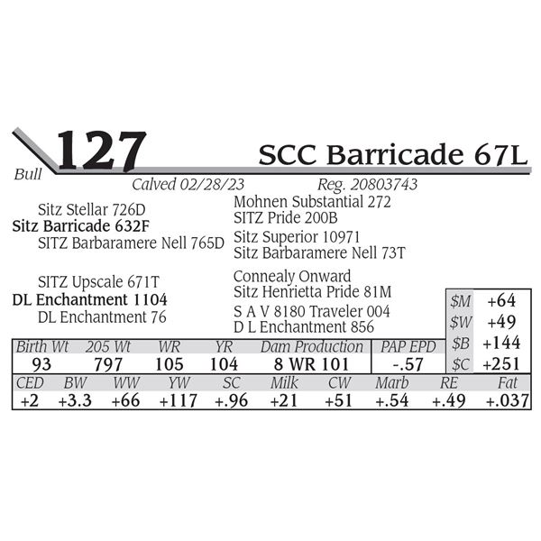 SCC Barricade 67L