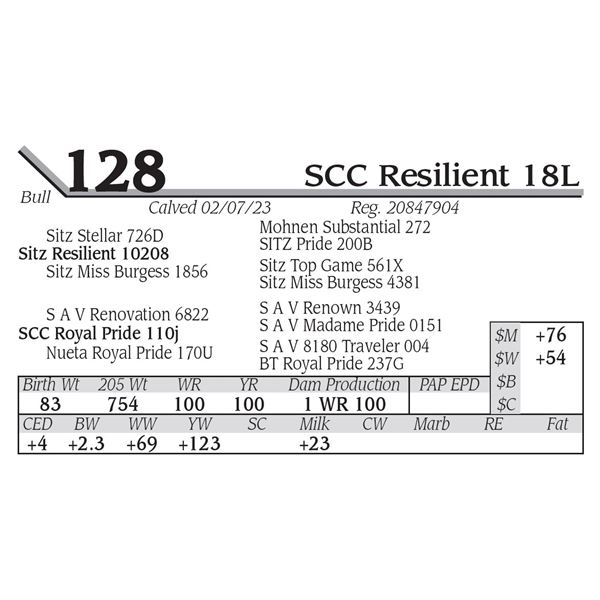 SCC Resilient 18L