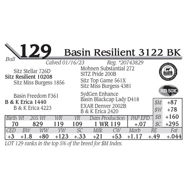 Basin Resilient 3122 BK