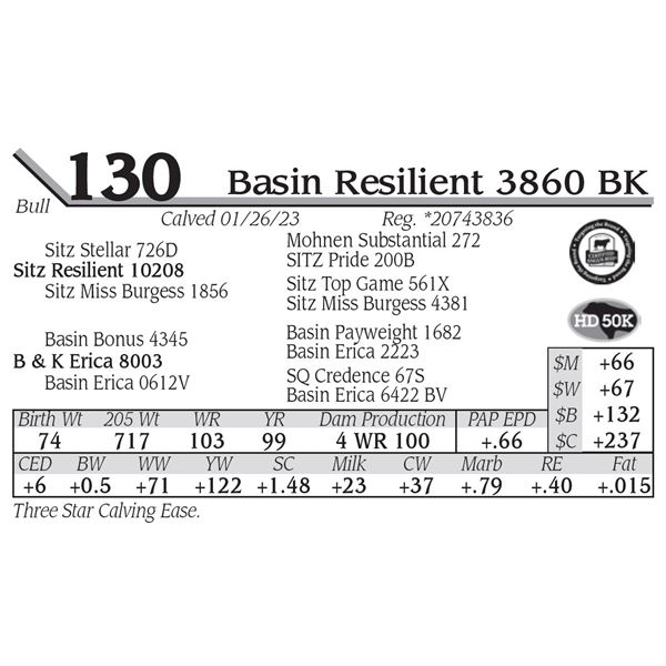 Basin Resilient 3860 BK