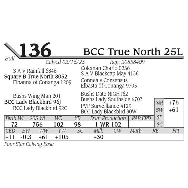 BCC True North 25L