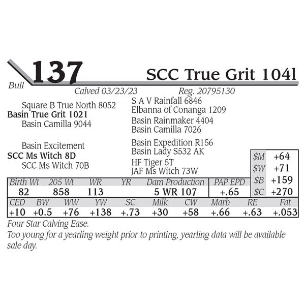 SCC True Grit 104l