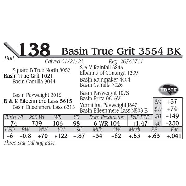 Basin True Grit 3554 BK