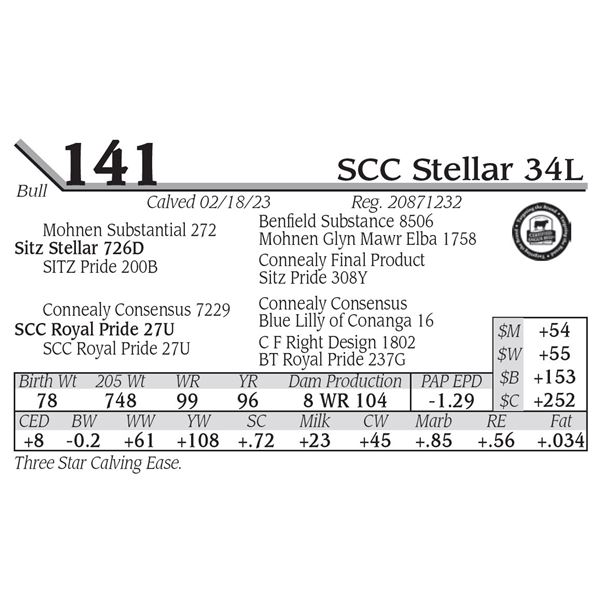 SCC Stellar 34L