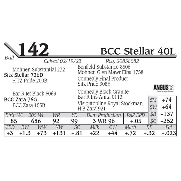 BCC Stellar 40L