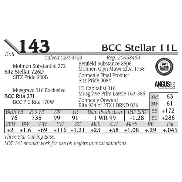 BCC Stellar 11L