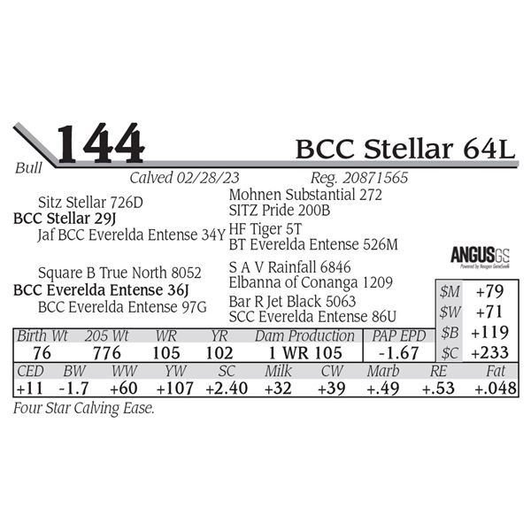 BCC Stellar 64L