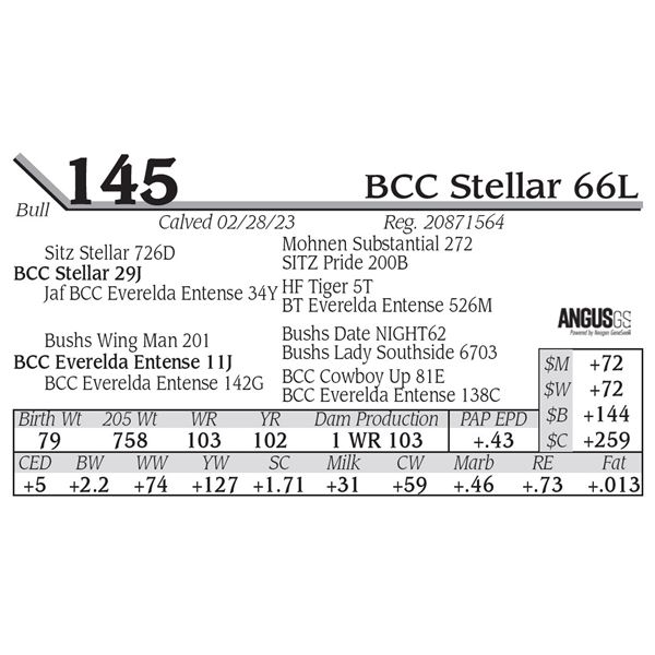 BCC Stellar 66L