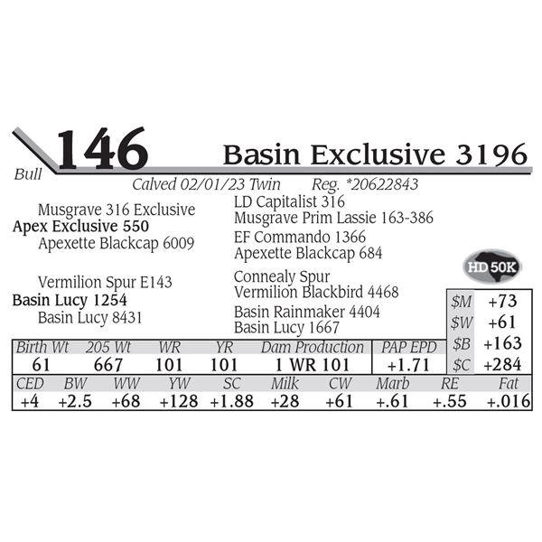 Basin Exclusive 3196