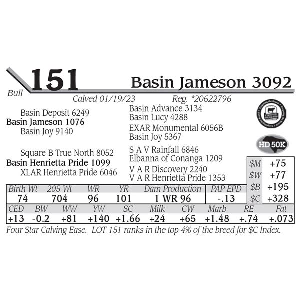 Basin Jameson 3092