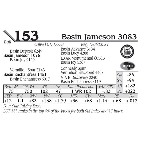 Basin Jameson 3083