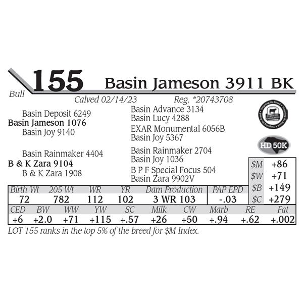 Basin Jameson 3911 BK