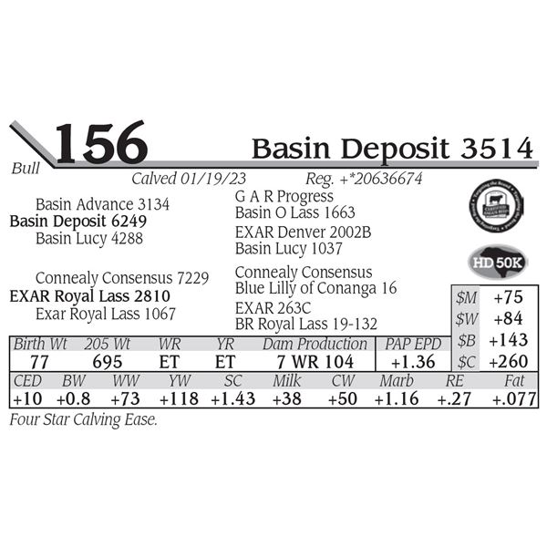 Basin Deposit 3514