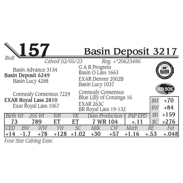 Basin Deposit 3217