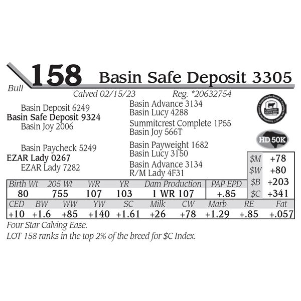 Basin Safe Deposit 3305