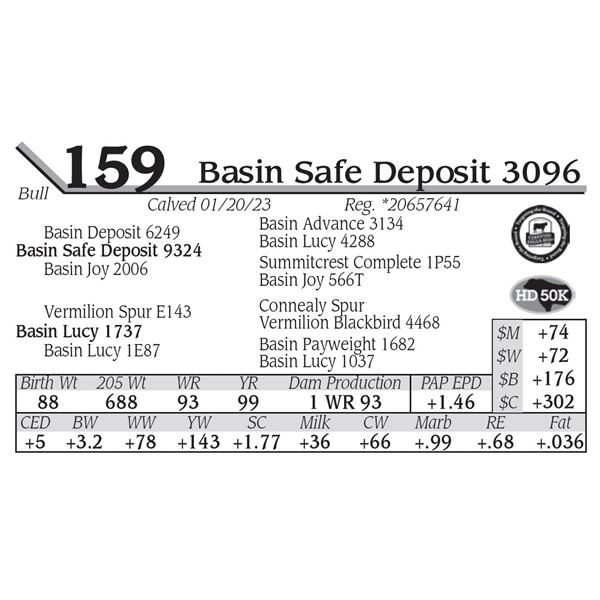 Basin Safe Deposit 3096