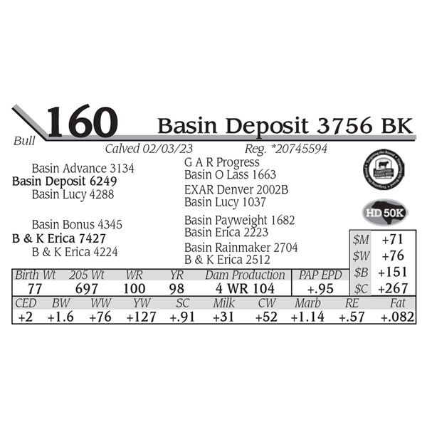 Basin Deposit 3756 BK