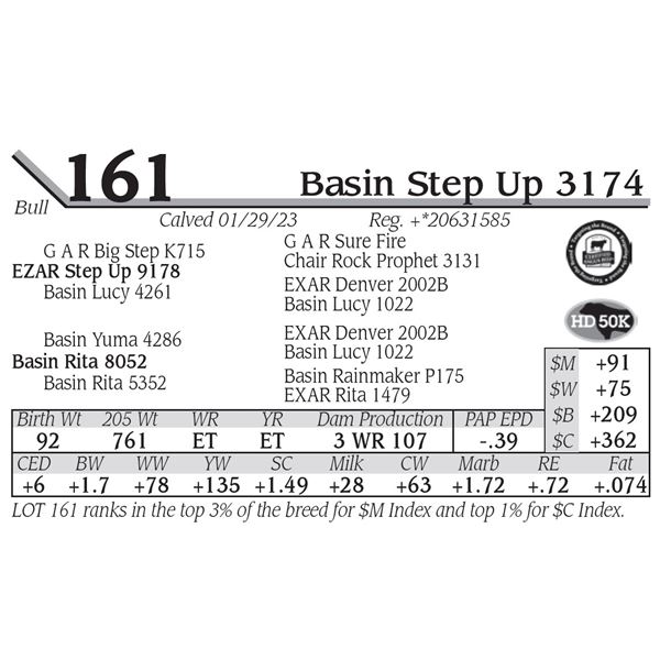 Basin Step Up 3174