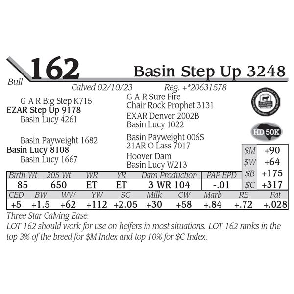 Basin Step Up 3248