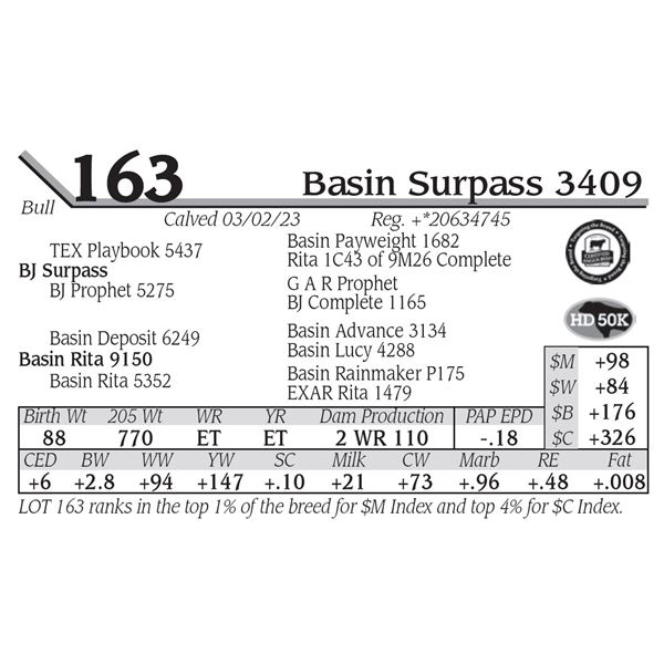 Basin Surpass 3409
