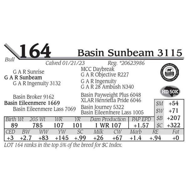 Basin Sunbeam 3115