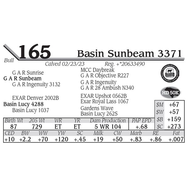 Basin Sunbeam 3371