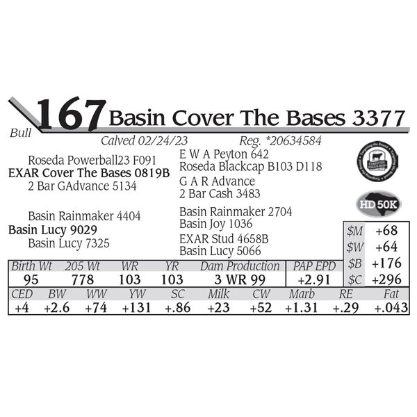 Basin Cover The Bases 3377