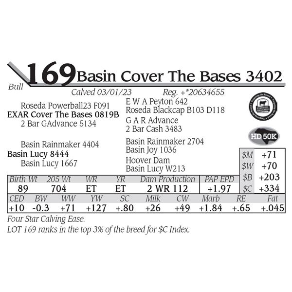 Basin Cover The Bases 3402