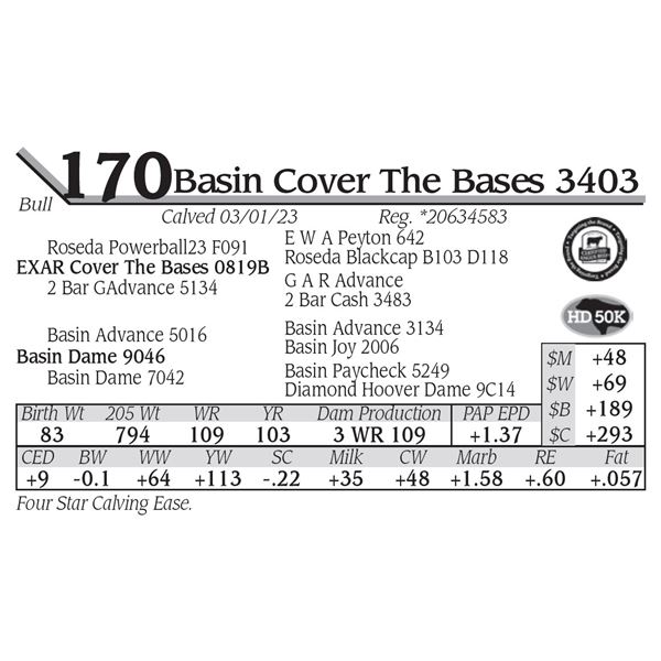 Basin Cover The Bases 3403