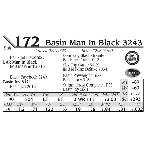 Basin Man In Black 3243