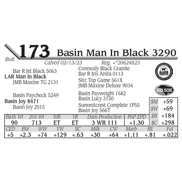 Basin Man In Black 3290