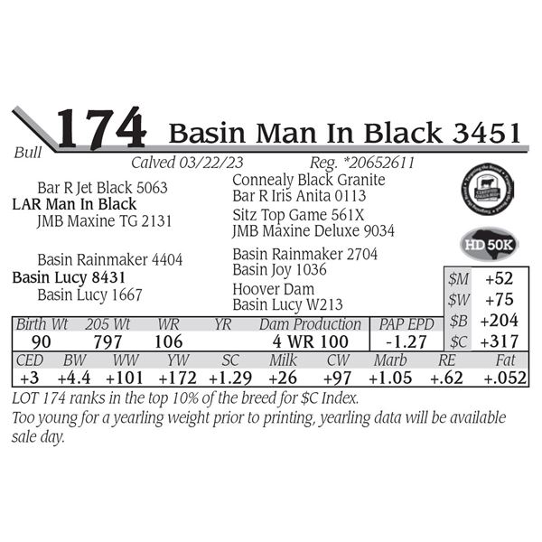 Basin Man In Black 3451