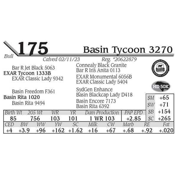 Basin Tycoon 3270