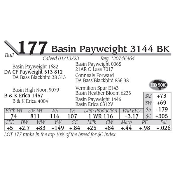 Basin Payweight 3144 BK