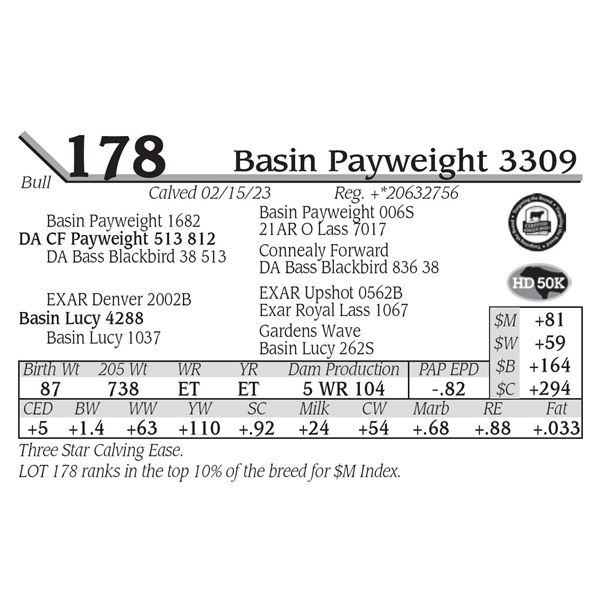 Basin Payweight 3309