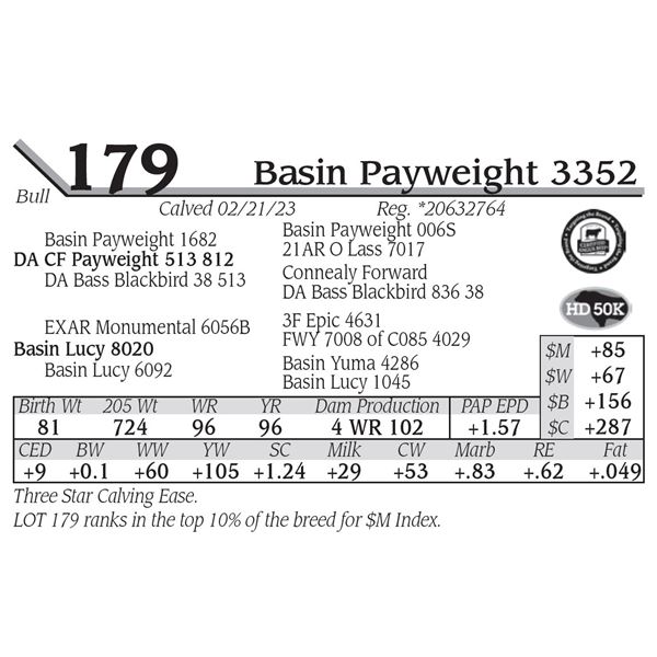 Basin Payweight 3352