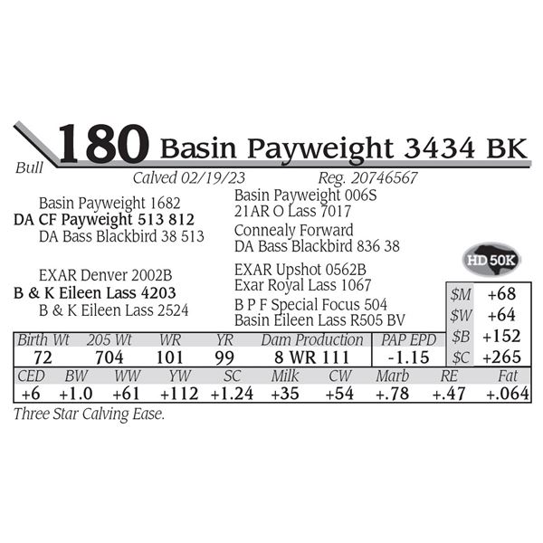Basin Payweight 3434 BK