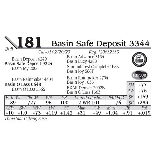 Basin Safe Deposit 3344