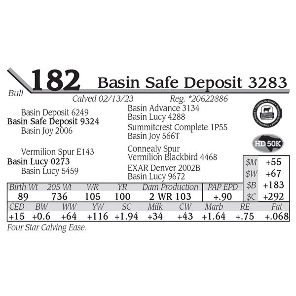 Basin Safe Deposit 3283