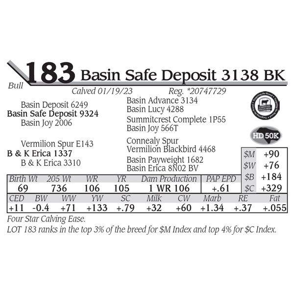 Basin Safe Deposit 3138 BK